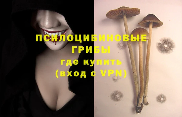 mix Абаза