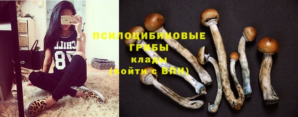 mix Абаза