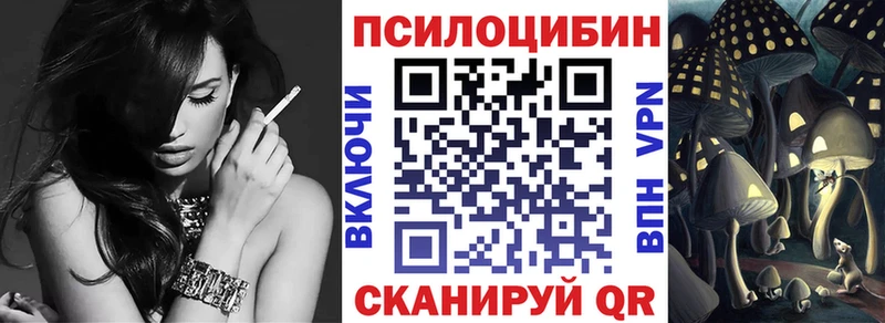 закладка Кимовск Галлюциногенные грибы Cubensis