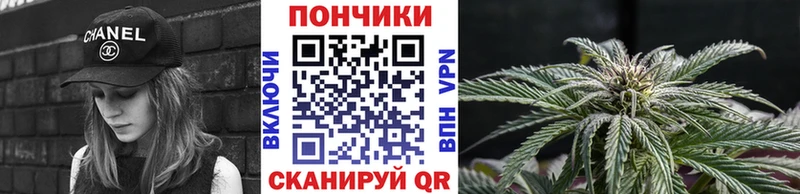 блэк спрут ссылки Кимовск Канабис семена